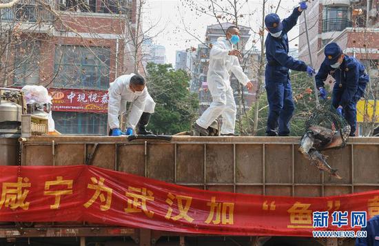 3月13日，一批運(yùn)到湖北省武漢市硚口區(qū)華生漢口城市廣場社區(qū)的活魚在卸貨。當(dāng)日，首批100噸調(diào)配自咸寧市的活魚運(yùn)抵武漢市硚口區(qū)11個(gè)街道下轄社區(qū)。 新華社記者 程敏 攝